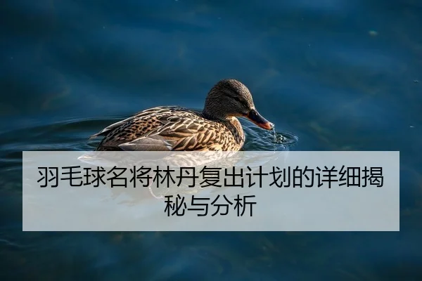 羽毛球名将林丹复出计划的详细揭秘与分析